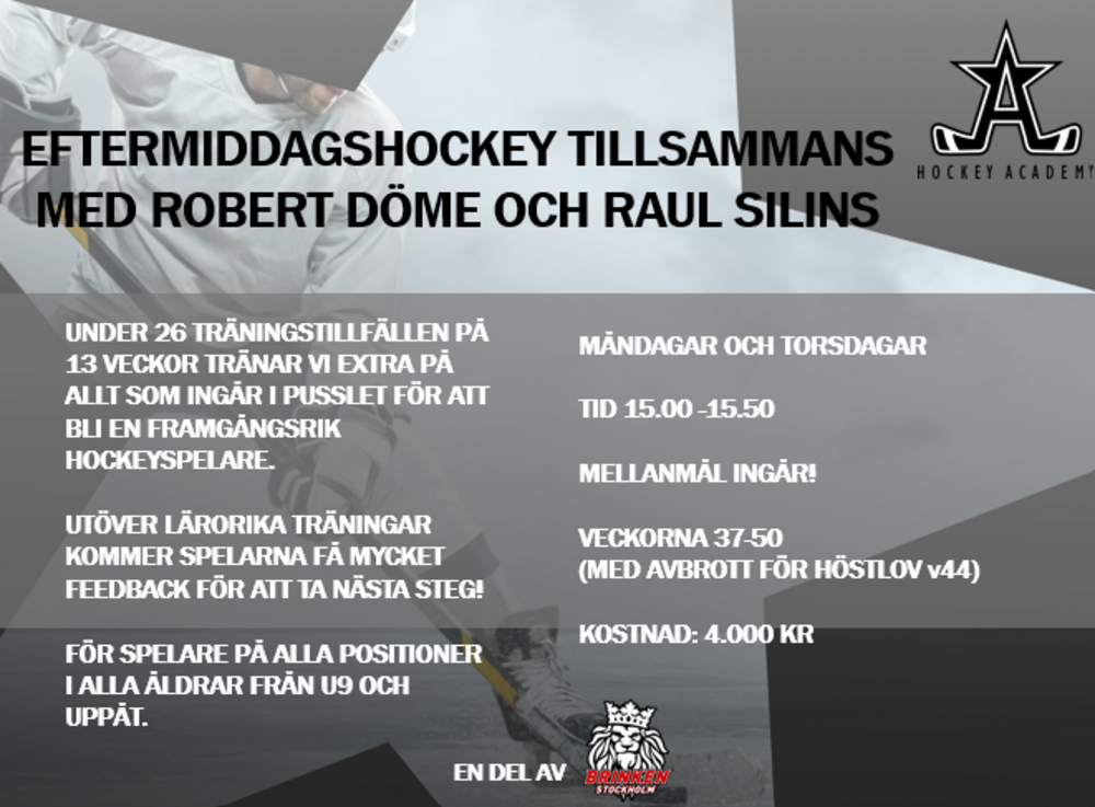 Morgonhockey HT-26 